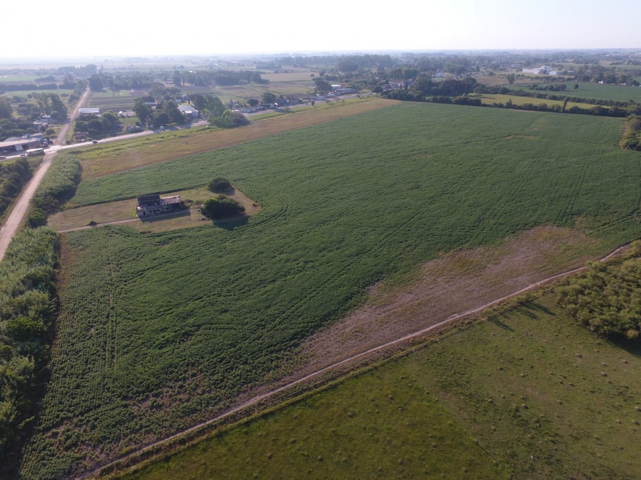 Campo en la localidad de Recreo, Santa Fe
