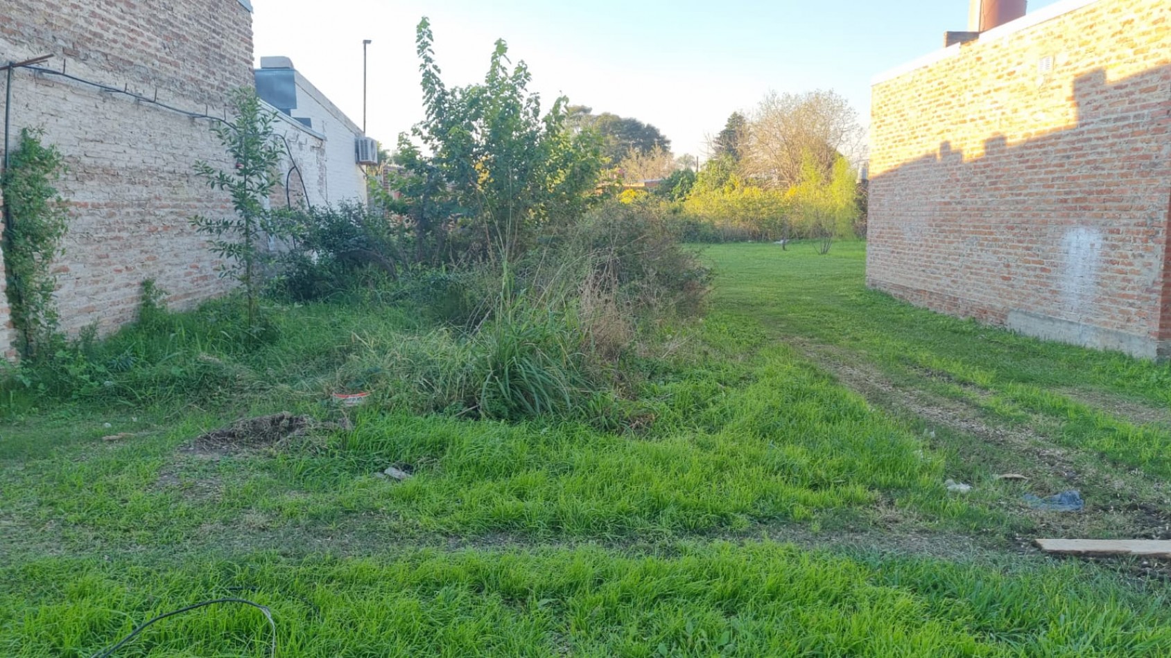 LOTE EN CALLE M. ALBERTI A METROS DE LA ESCUELA BALLARINI - SANTA FE