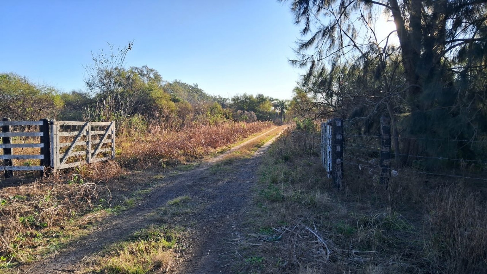 CAMPO APICOLA SOBRE RUTA 11 EN DESVIO ARIJON