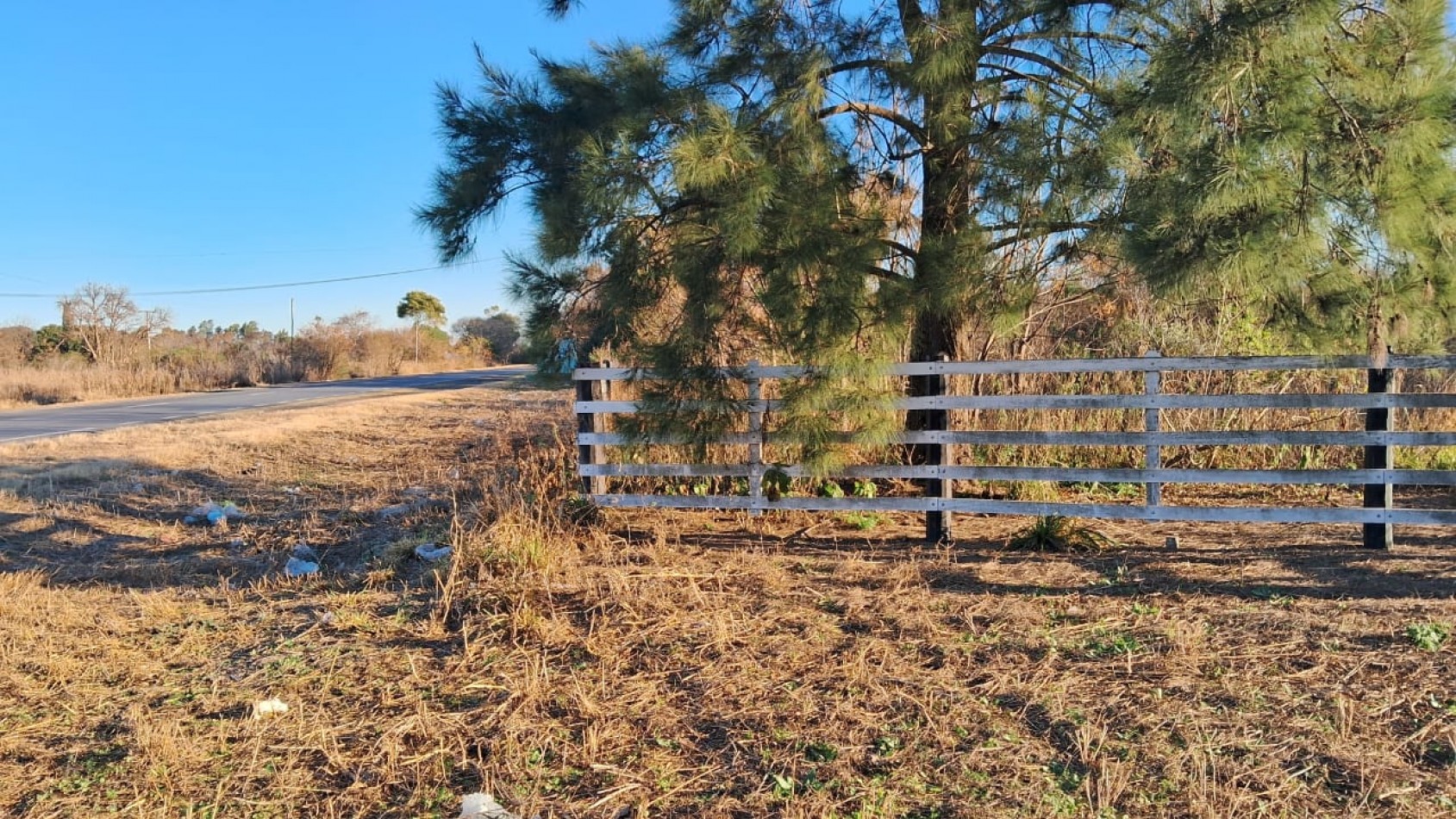CAMPO APICOLA SOBRE RUTA 11 EN DESVIO ARIJON
