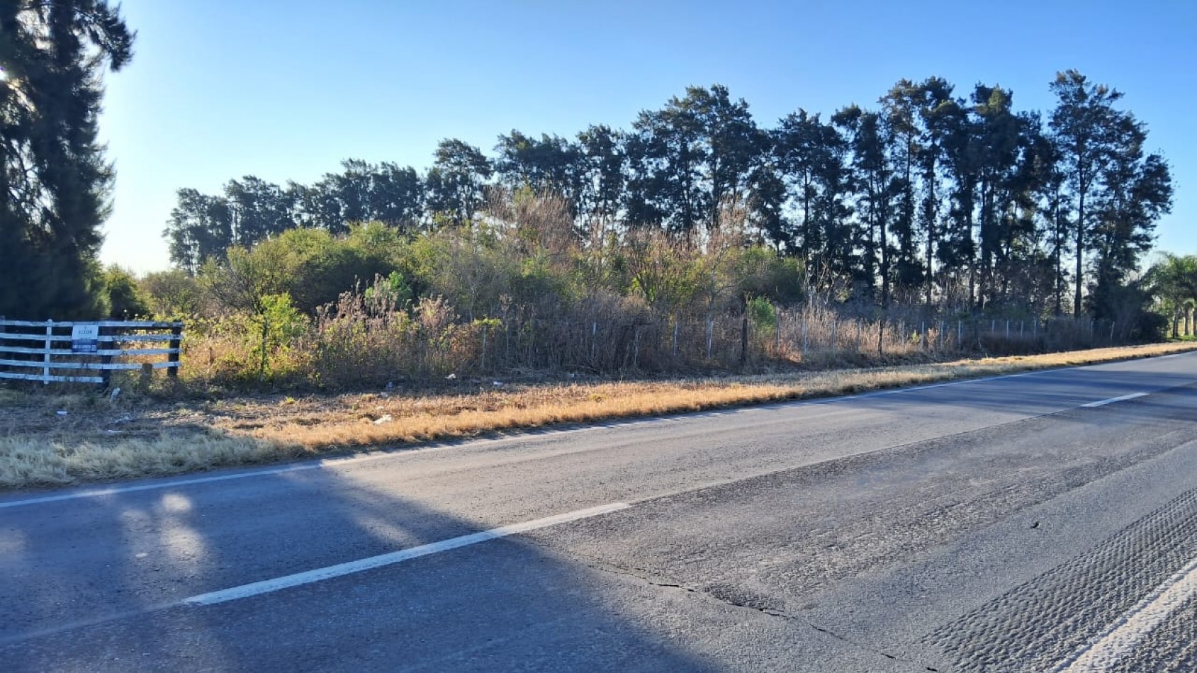CAMPO APICOLA SOBRE RUTA 11 EN DESVIO ARIJON