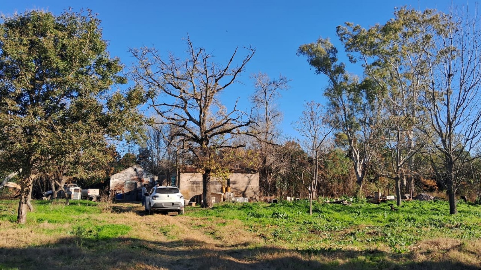 CAMPO APICOLA SOBRE RUTA 11 EN DESVIO ARIJON