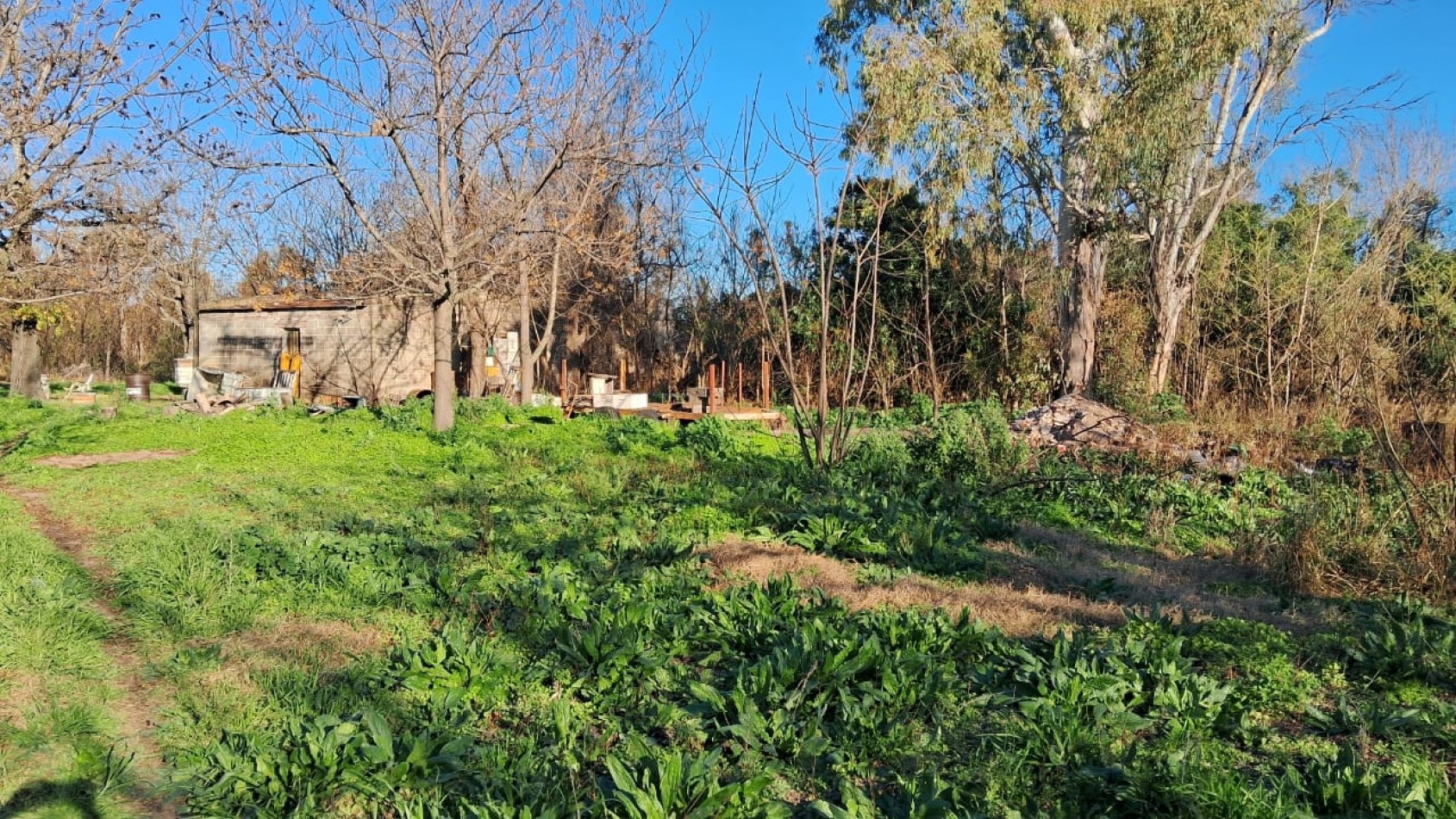 CAMPO APICOLA SOBRE RUTA 11 EN DESVIO ARIJON