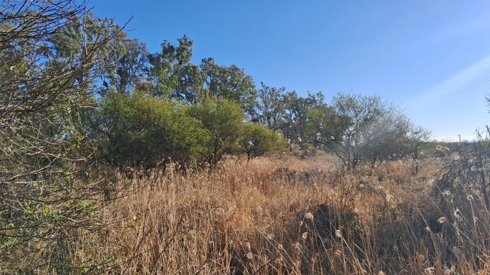 CAMPO APICOLA SOBRE RUTA 11 EN DESVIO ARIJON