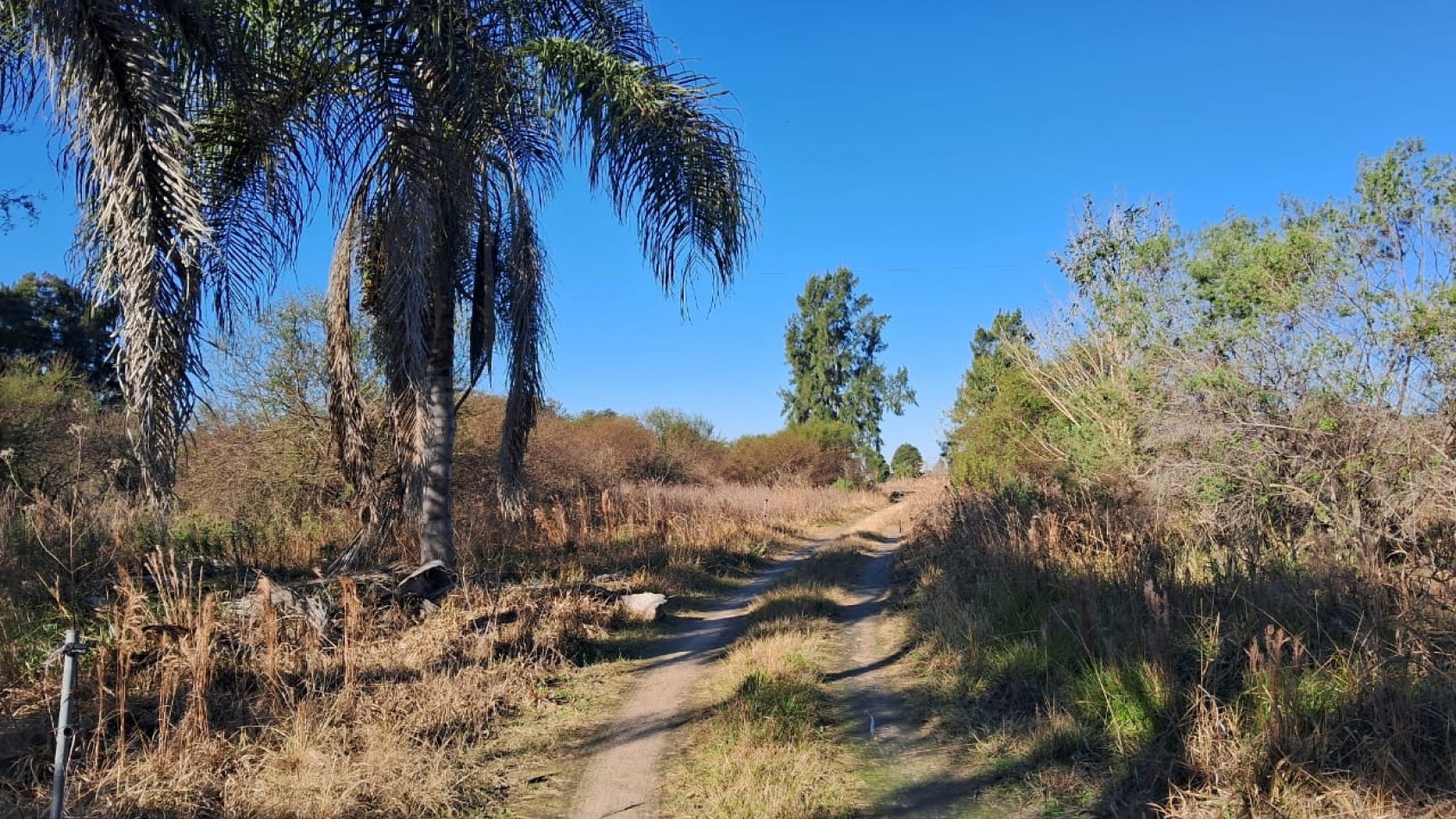 CAMPO APICOLA SOBRE RUTA 11 EN DESVIO ARIJON