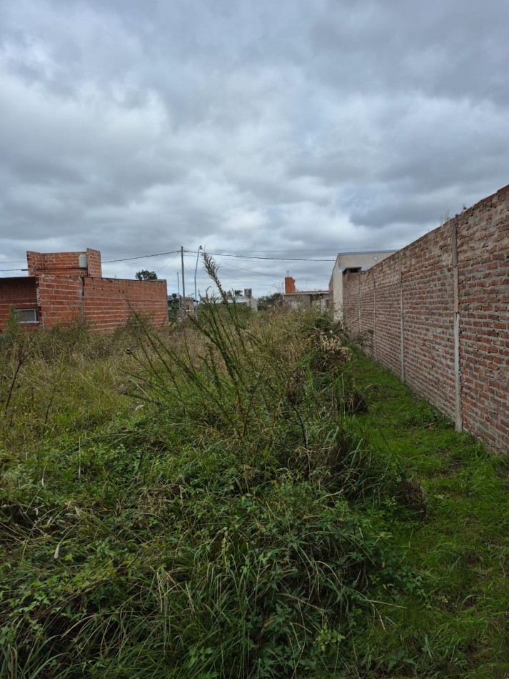 LOTE EN VENTA, SAUCE VIEJO