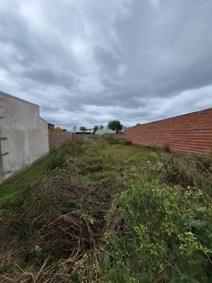 LOTE EN VENTA, SAUCE VIEJO