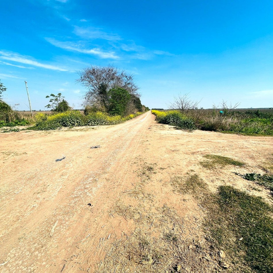 CAMPO AGRICOLA EN VENTA - SAN JERONIMO NORTE
