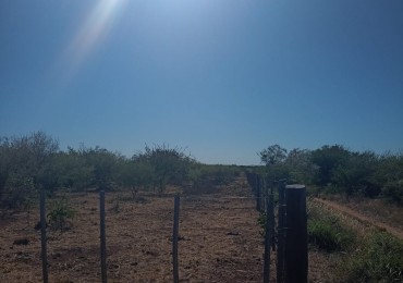 TERRENO EN CRUZ DEL EJE, CORDOBA