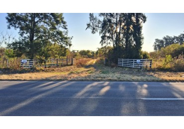 CAMPO APICOLA SOBRE RUTA 11 EN DESVIO ARIJON