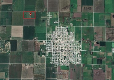 CAMPO AGRICOLA EN VENTA - SAN JERONIMO NORTE